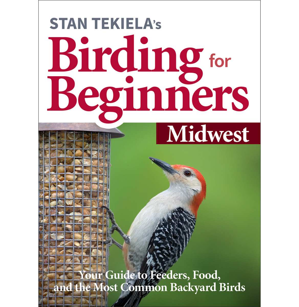 Birding For Beginners Guide Midwest